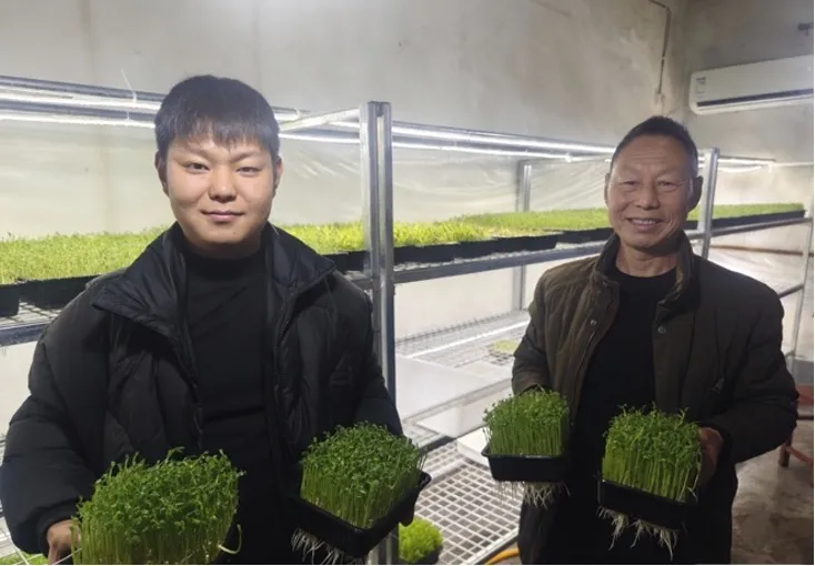 日均供应蔬菜800吨，汉台区的蔬菜大棚内却暖意融融、绿意盎然