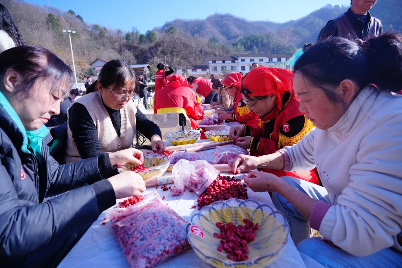 2025佛坪非遗山茱萸炮制技艺大赛圆满落幕，非遗+文旅激活乡村振兴新动能。