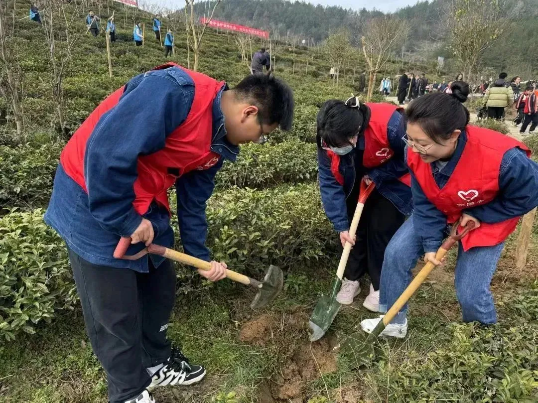 “植”此青绿 | 国网汉中供电公司开展植树节活动