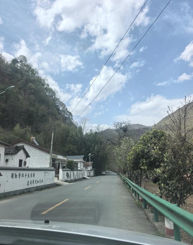 今走了被央视点赞!留坝最美乡村公路,春天美到窒息,错过等一年