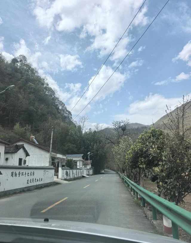 今走了被央视点赞！留坝最美乡村公路，春天美到窒息，错过等一年