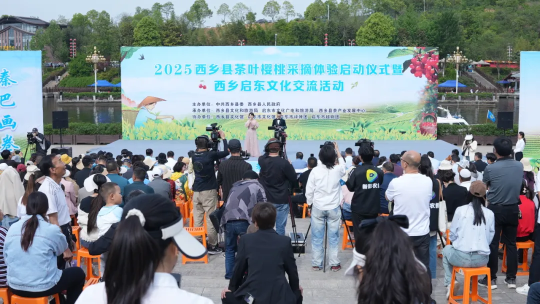 西乡县举行2025茶叶樱桃采摘体验活动暨西乡—启东文化交流活动