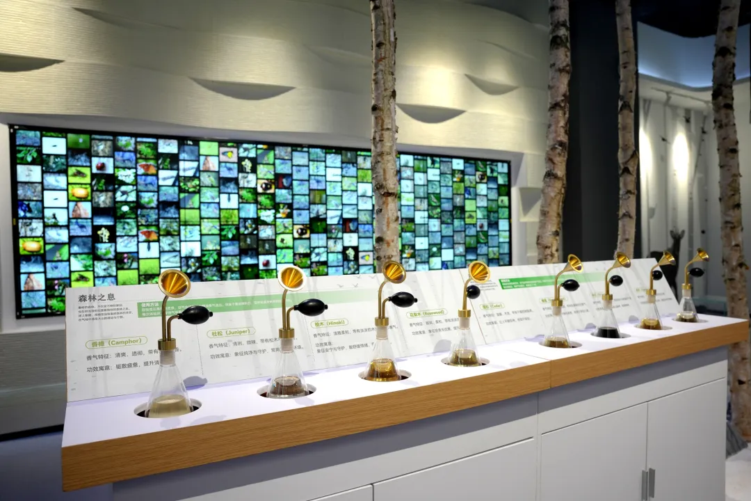 留坝新名片！感官全开，趣游秦岭