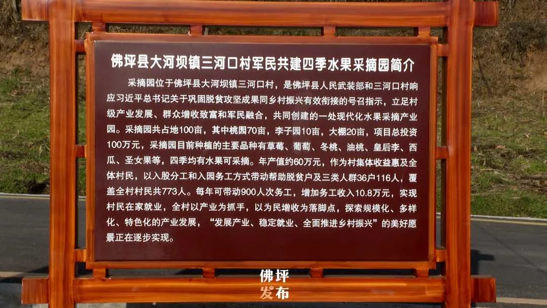 佛坪：冬季草莓抢“鲜”上市 邂逅“莓”好时光
