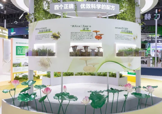 与中国机遇同行！安利赴约2025进博会