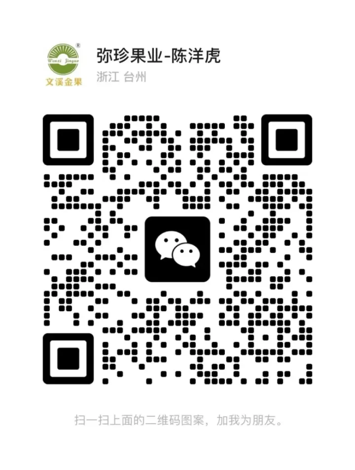 图片13-780x1031-1