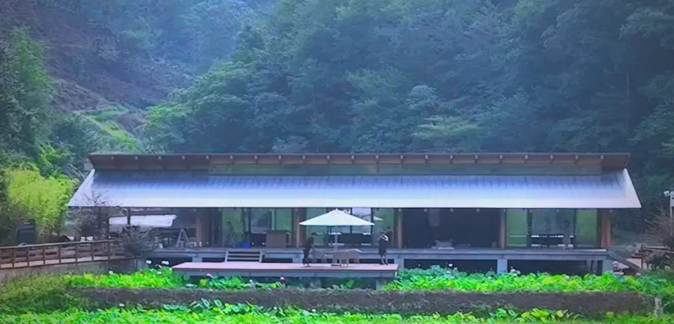 茶旅新地标！楮溪源景区带你开启茶旅融合新体验！