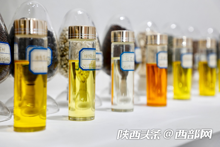 生态高颜值·发展高质量｜油菜花、牡丹花、黑稻田 汉中洋县有机产业有自己的“三原色”