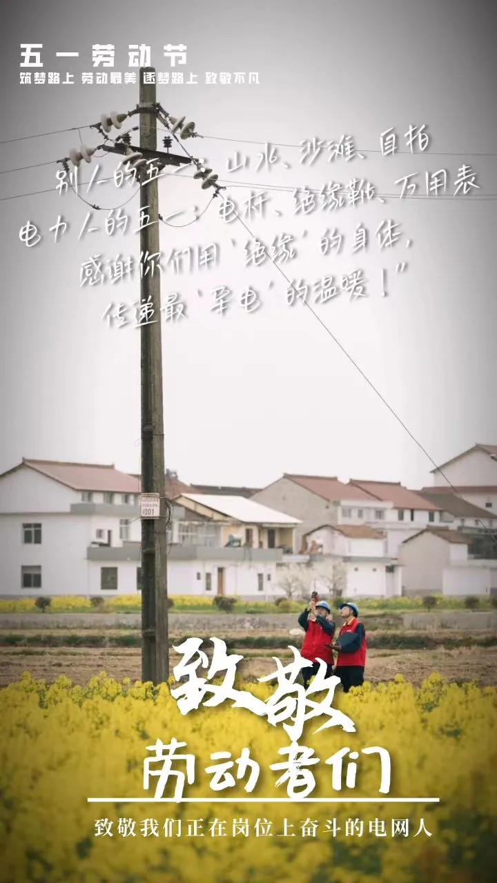 “五一”特辑 | 致敬最美电力人