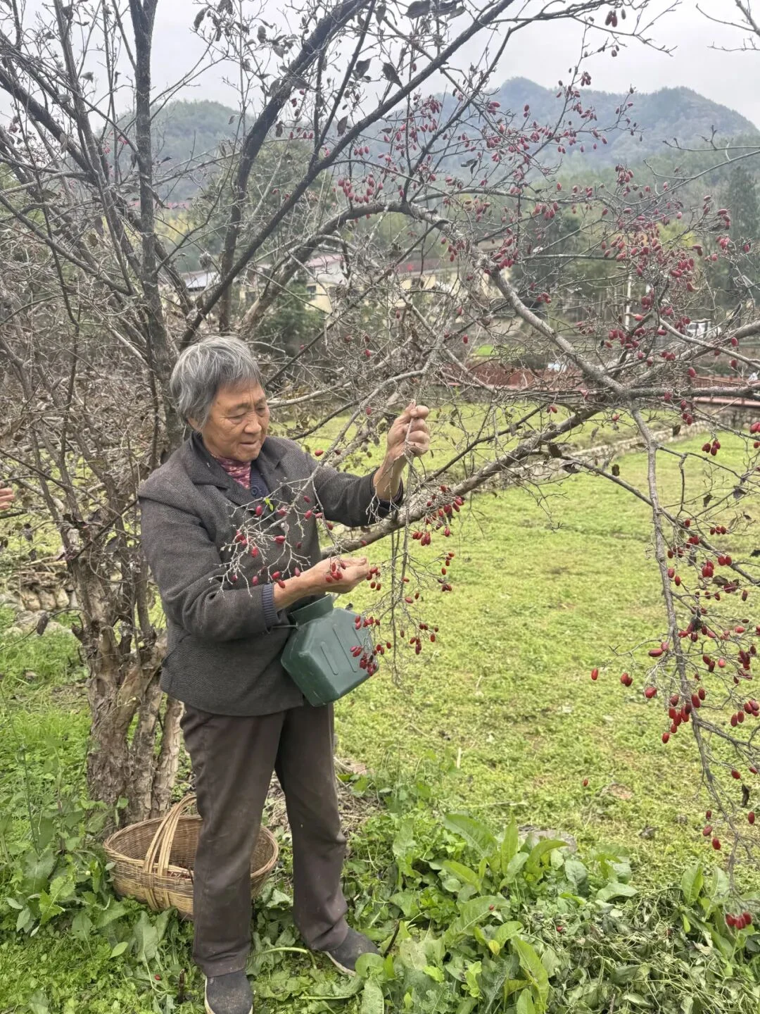 银厂沟村的暖心养老账