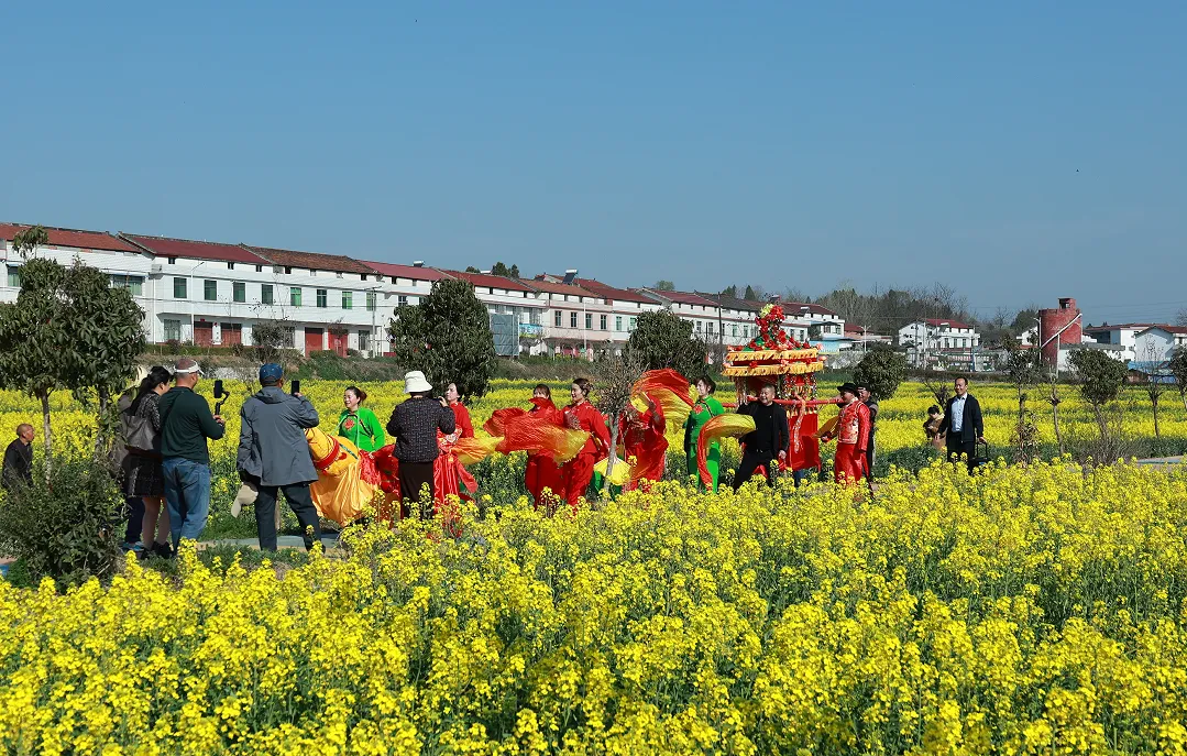 “鹮乡花海 镜遇春天” 市、县新媒体联动走进五彩洋州
