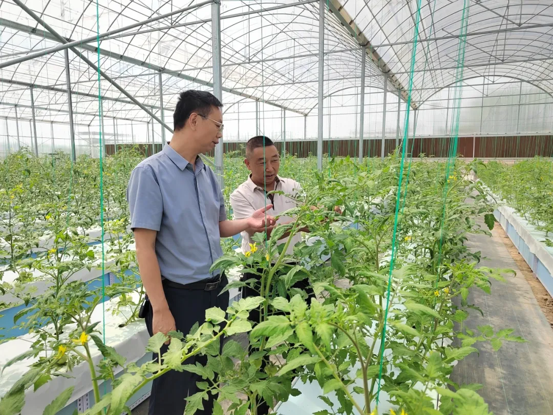 不做纸面答卷！汉中党建扎根一线、落地生根、开花结果→