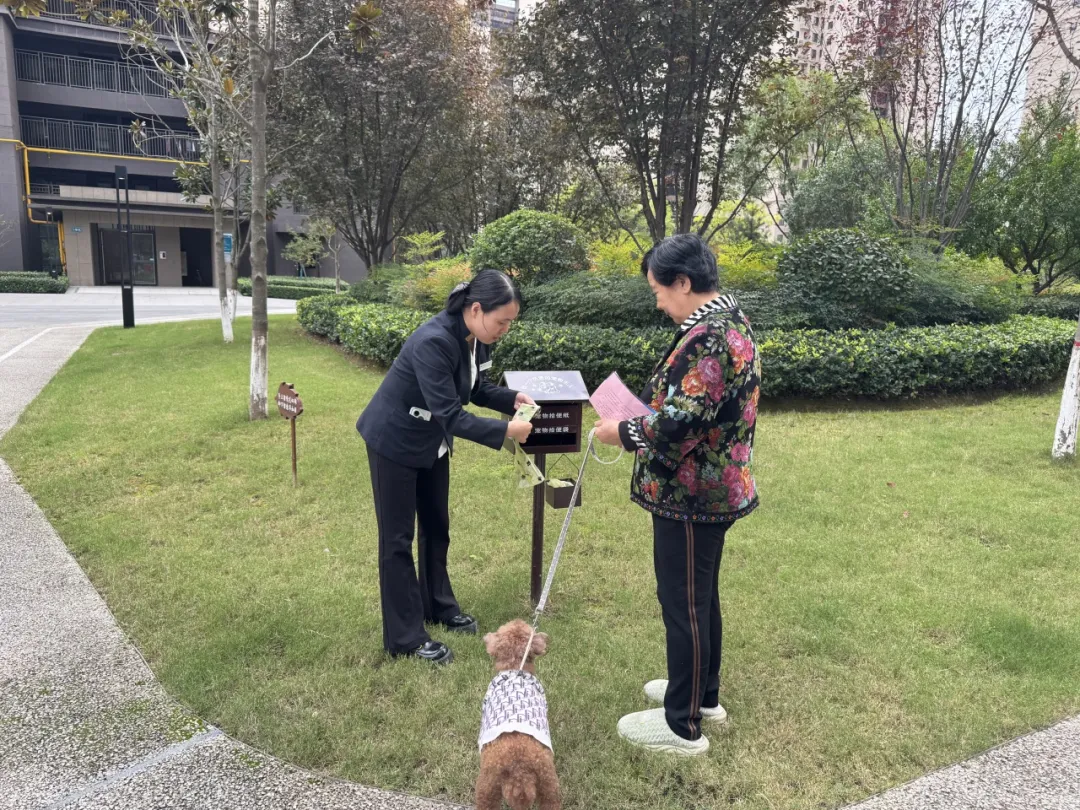 遛狗不牵绳“狗很温顺”就行？记者实地探访→