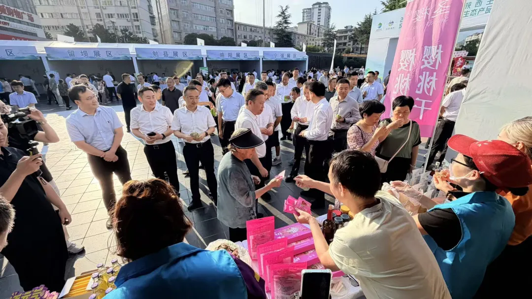 深化苏陕协作 共促产业振兴——汉中市县域特色生态产品展销会在宁强举办