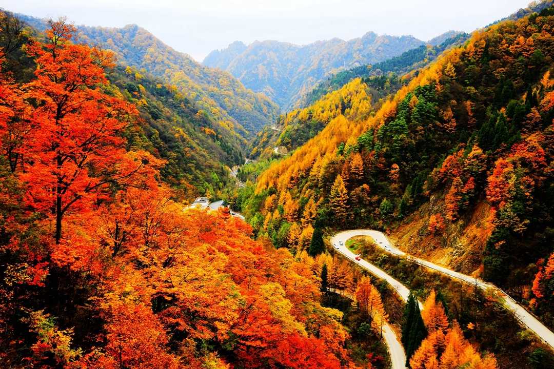 光雾山国家5A级旅游景区驻汉中接待中心正式揭牌