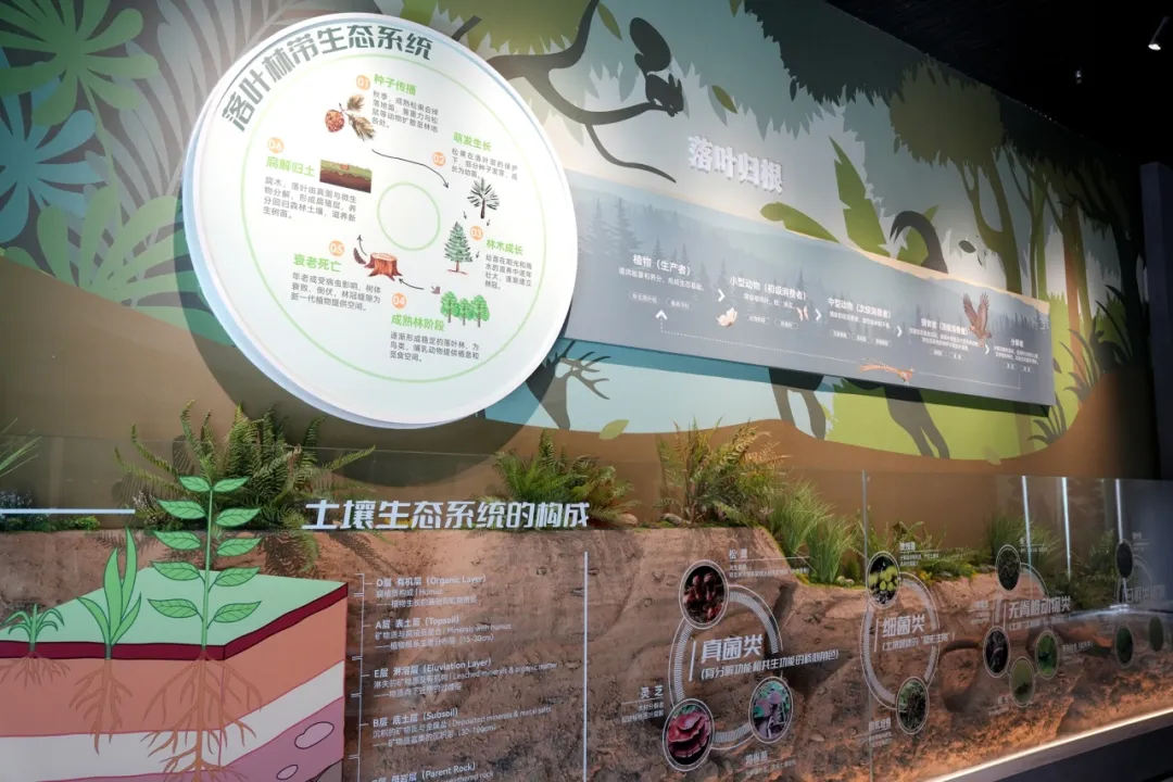 留坝新名片！感官全开，趣游秦岭