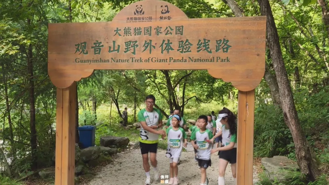 纵情青绿山林 邂逅亲子时光|佛坪熊猫亲子山径赛精彩呈现