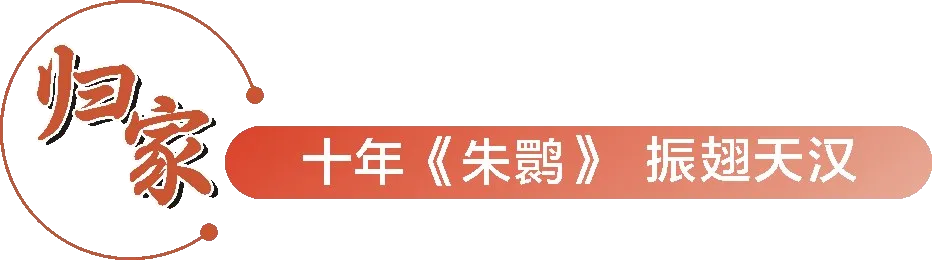 从秦岭到世界!汉中创造生态奇迹!