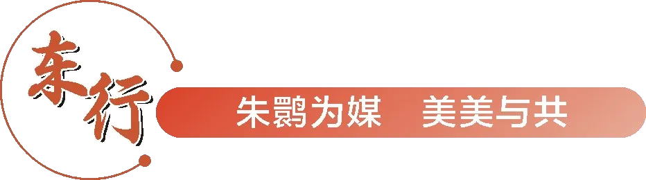 从秦岭到世界!汉中创造生态奇迹!