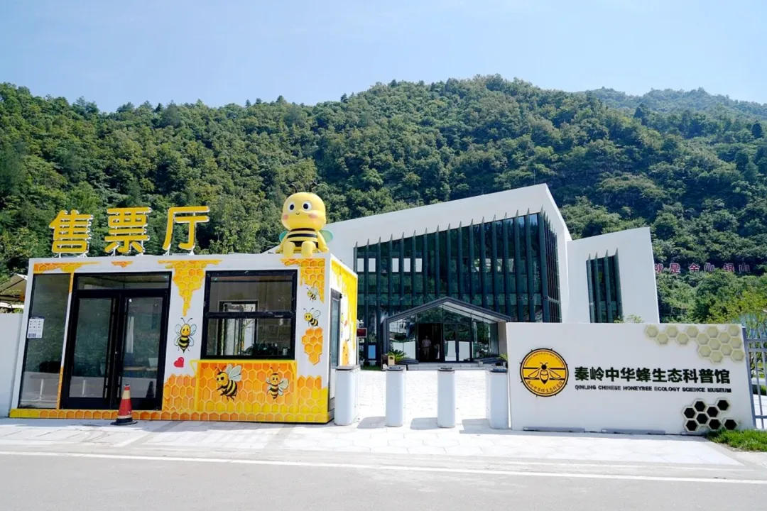 邂逅秦岭最美廊道，赴一场留坝秋日之约