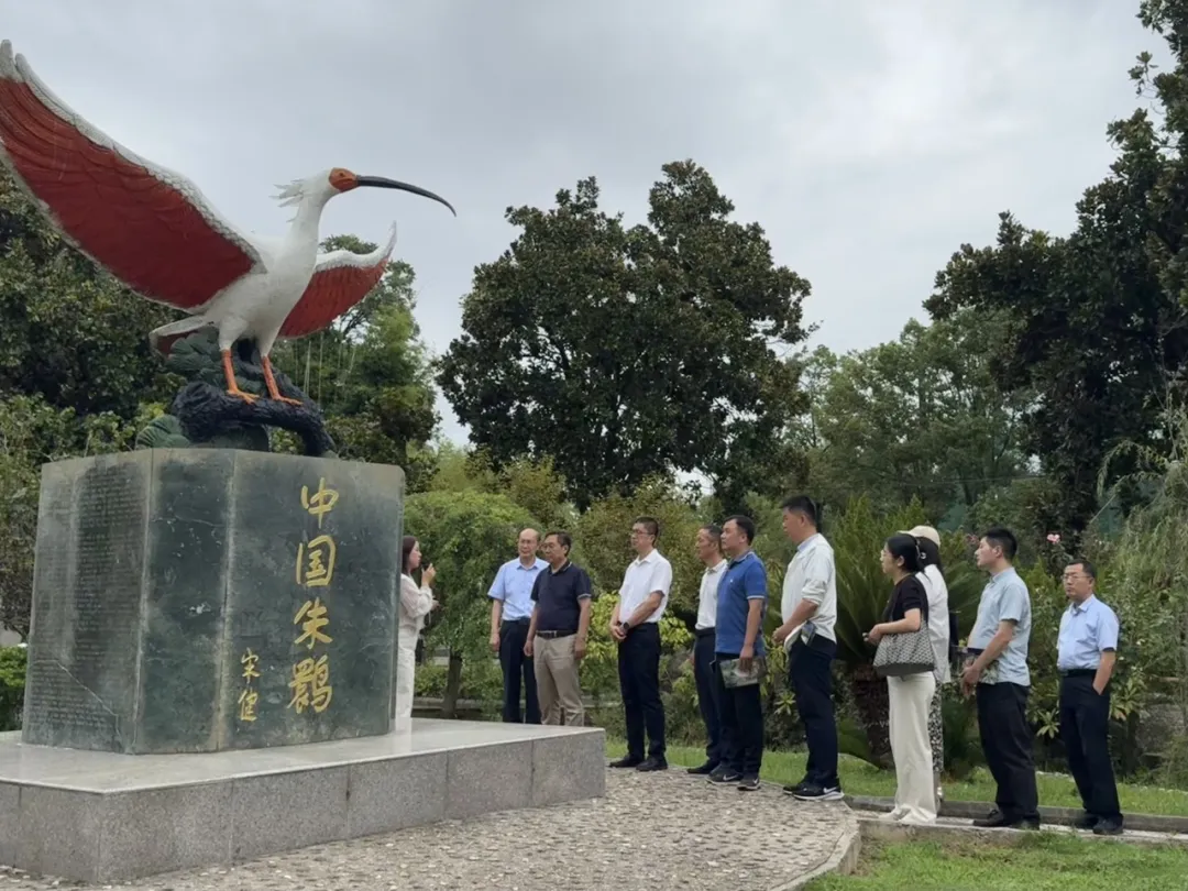 中省媒体聚焦汉中新型工业！传统行业焕发新生→