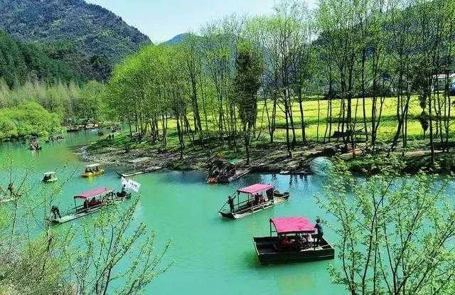 聚焦“旅居在汉中”!这场网上新闻发布会说了啥?