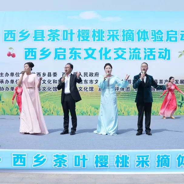 西乡县举行2025茶叶樱桃采摘体验活动暨西乡—启东文化交流活动