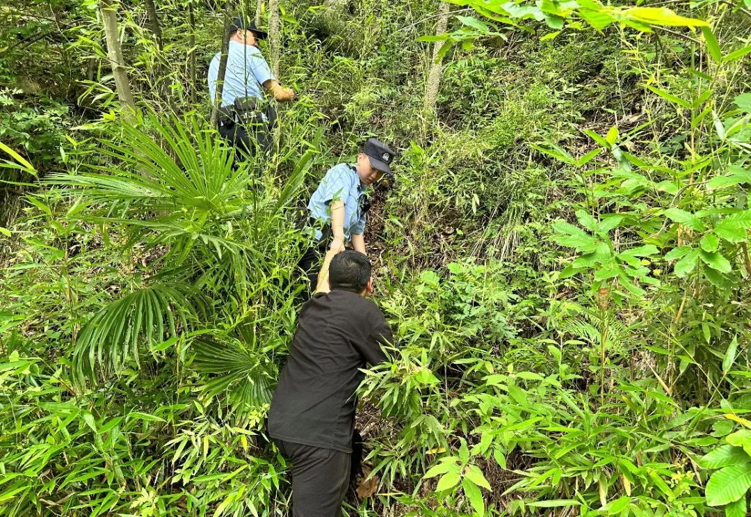 小伙任性离家出走,汉中民警深山寻回
