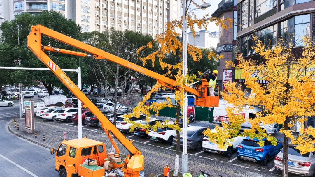 新增936盏路灯!汉中道路更亮了