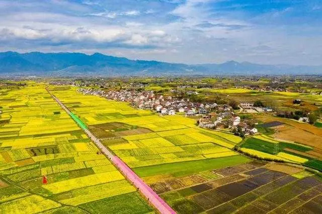 聚焦“旅居在汉中”!这场网上新闻发布会说了啥?