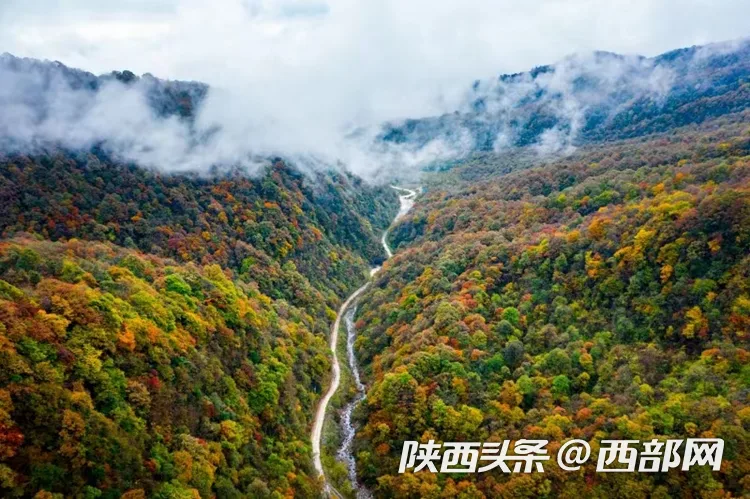 生态高颜值·发展高质量|云端仙境 四季可赏 汉中龙头山风光无限好