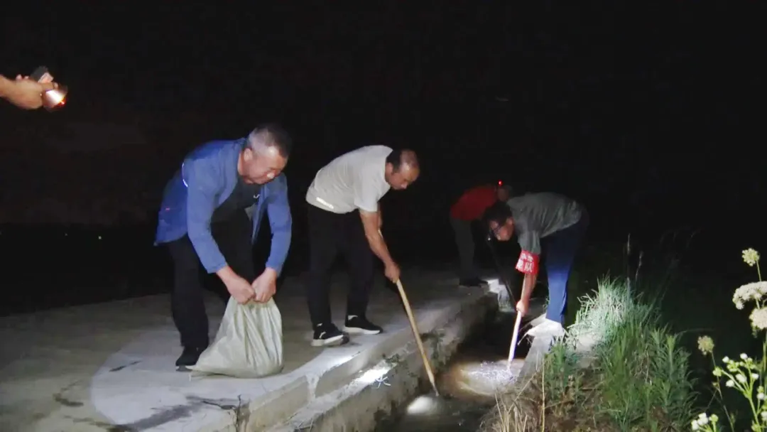汉台：“秧”不误时 “水”尽其用，科学守护“粮袋子”