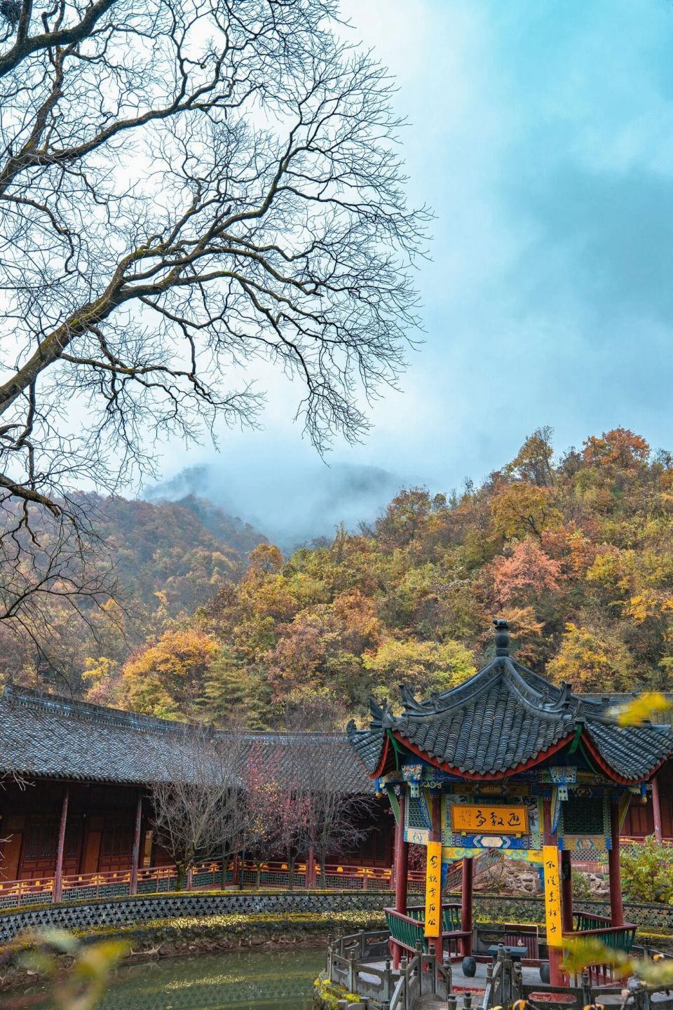 谁说秋天只有凋零？紫柏山两日游攻略来了！