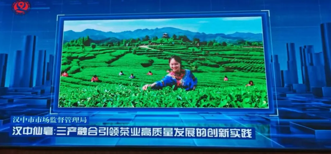 汉中一案例入选全省典型案例库