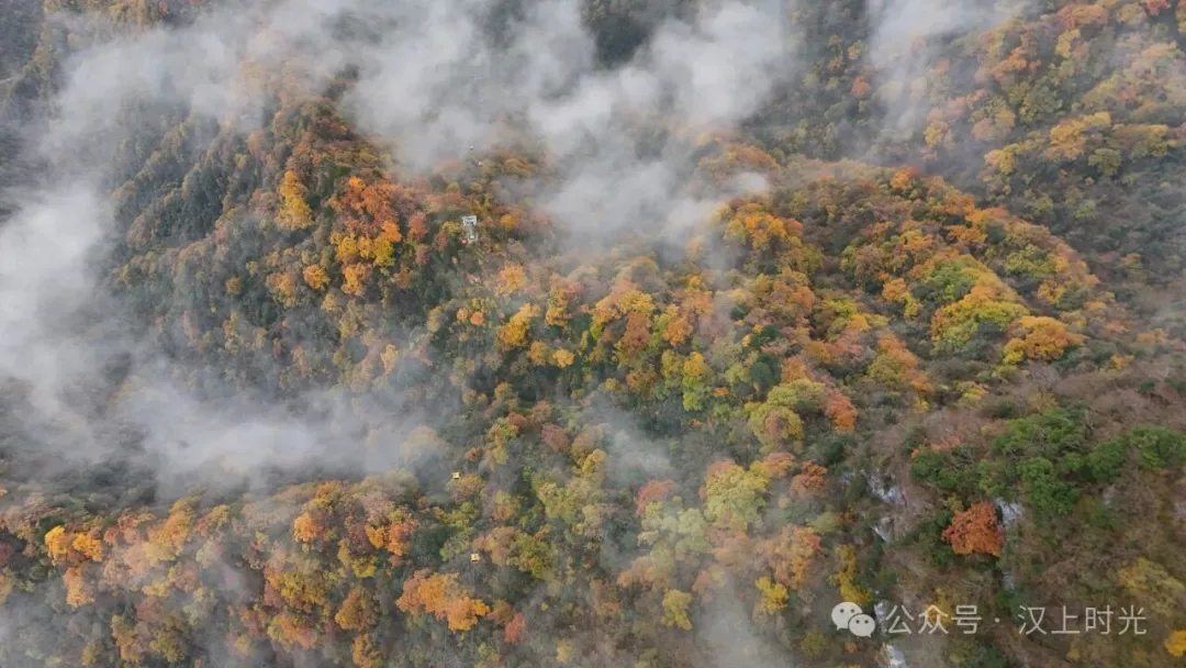 汉中龙头山：云雾裹着秋景，像是在彩林间画了层渐变。