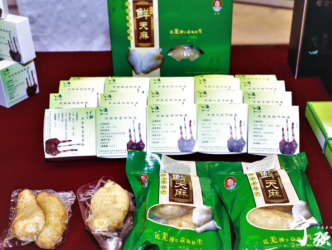 一株天麻,撬动20亿产值!汉中做到了!
