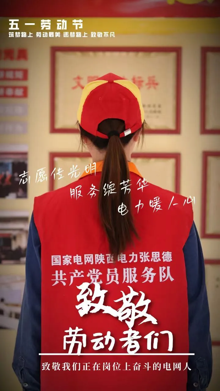 “五一”特辑 | 致敬最美电力人
