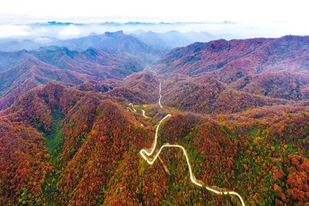 邂逅秦岭最美廊道，赴一场留坝秋日之约