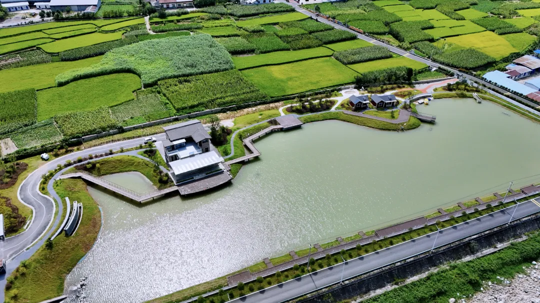 垂钓、逛展、追音乐… 陈家坝稻田音乐季，承包你的周末快乐！